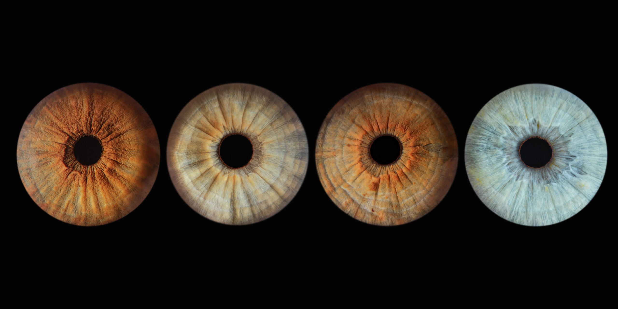 Photographies artistiques d'iris