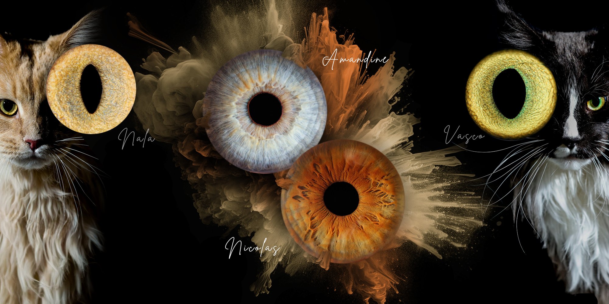Création artistique — photographie d'iris