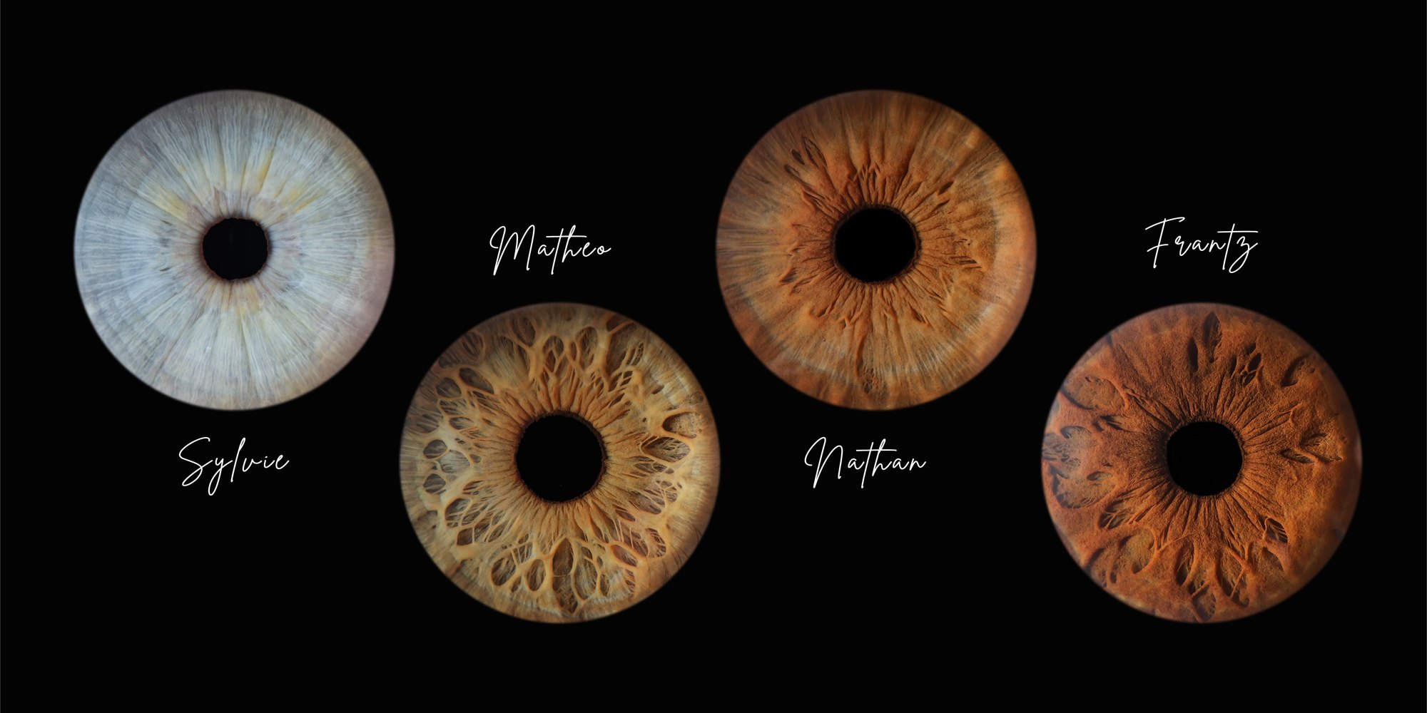 Création artistique — photographie d'iris