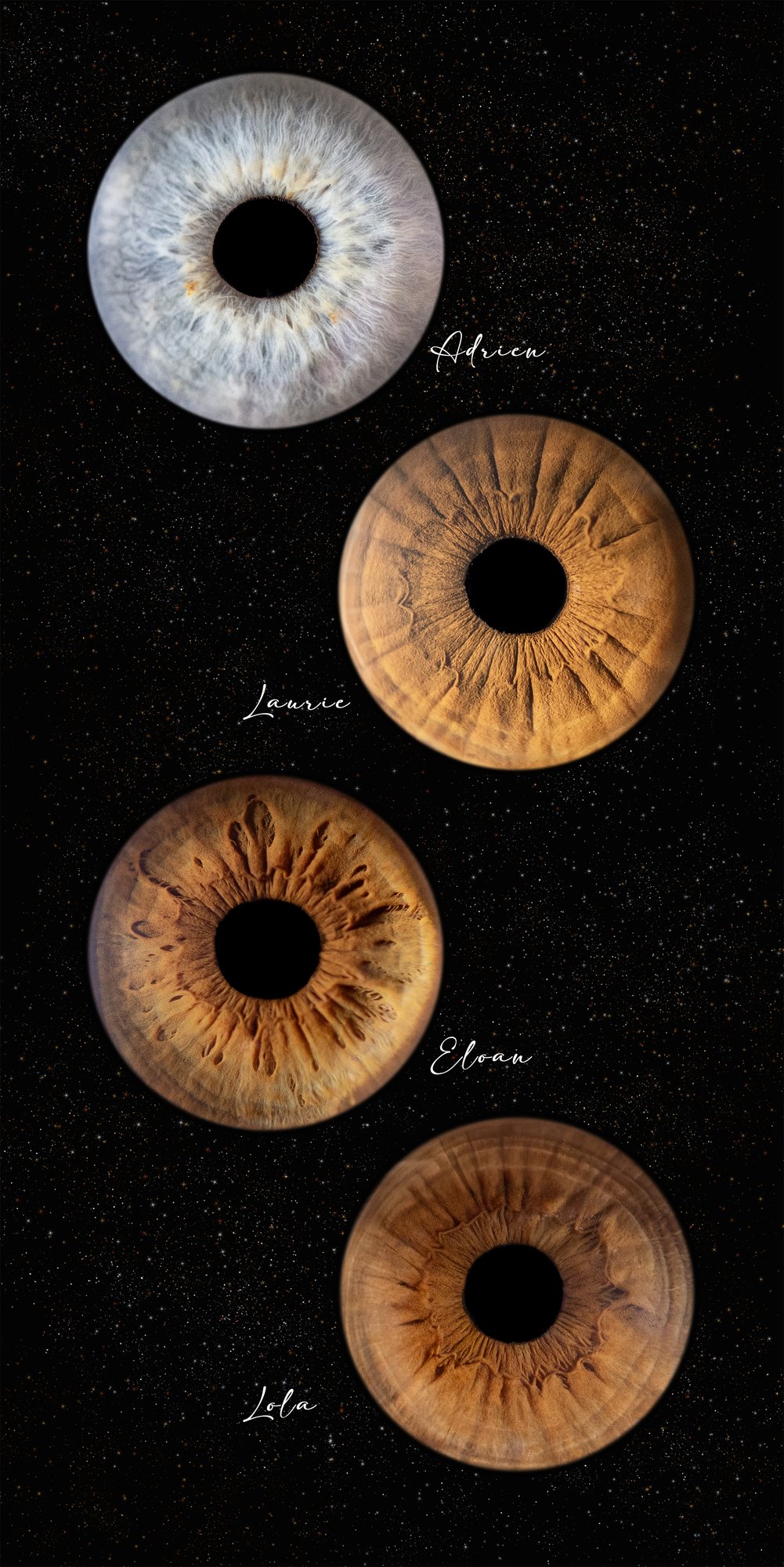 Création artistique — photographie d'iris