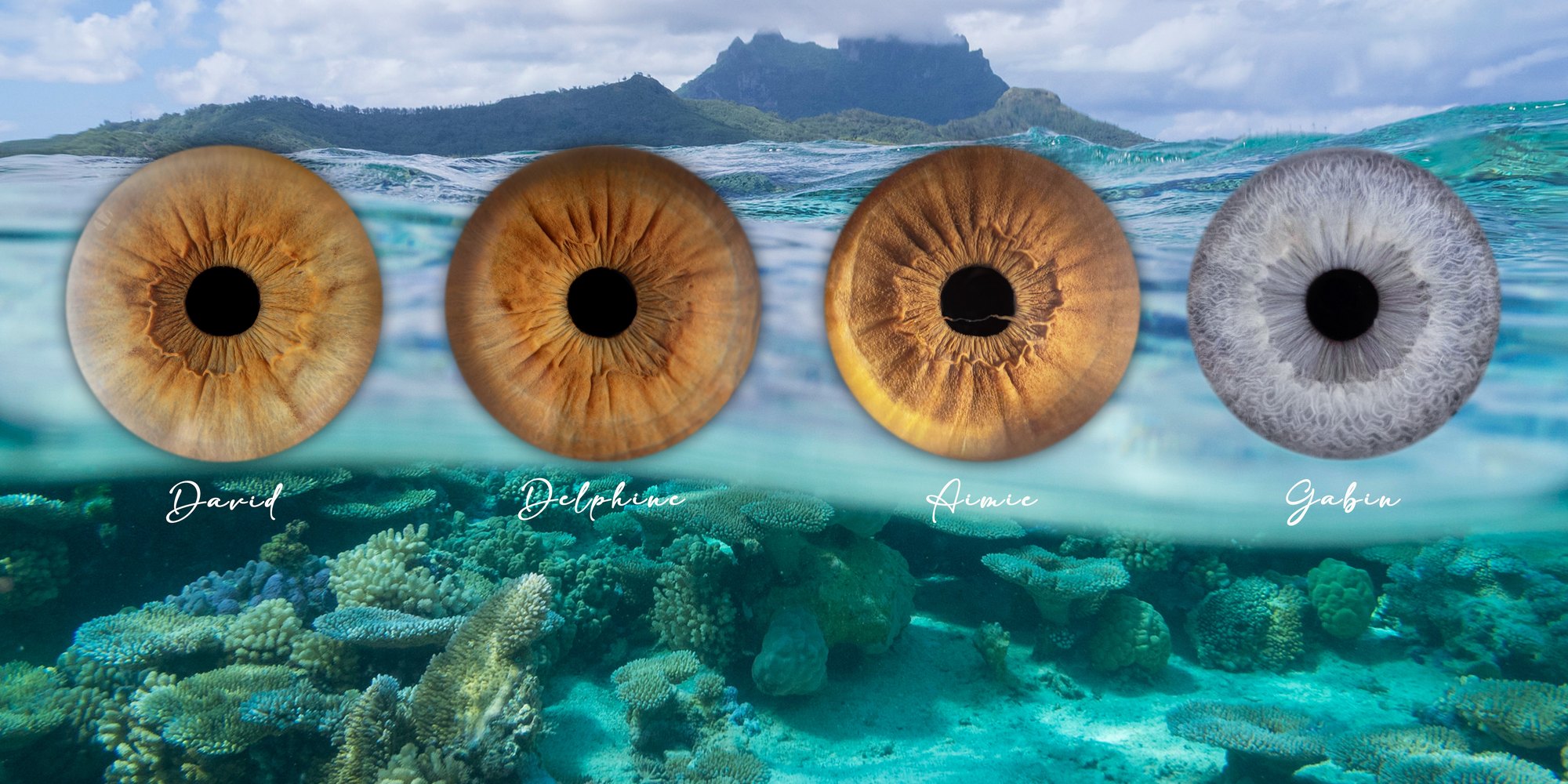 Création artistique — photographie d'iris