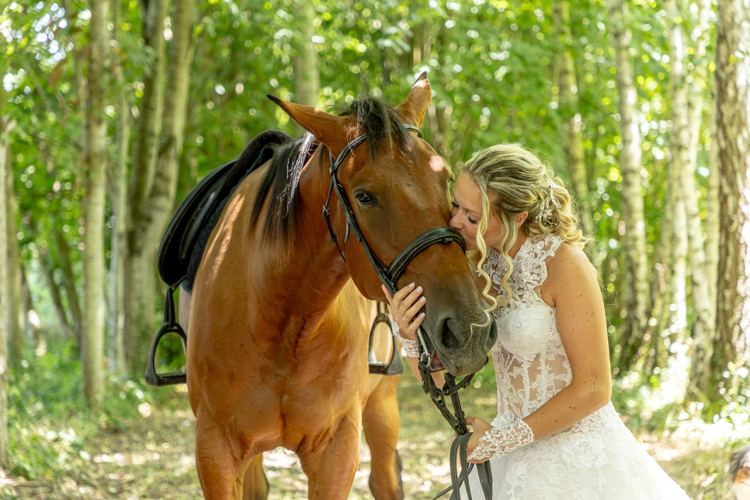 Photo mariage — Photo mariage — la mariée et son cheval